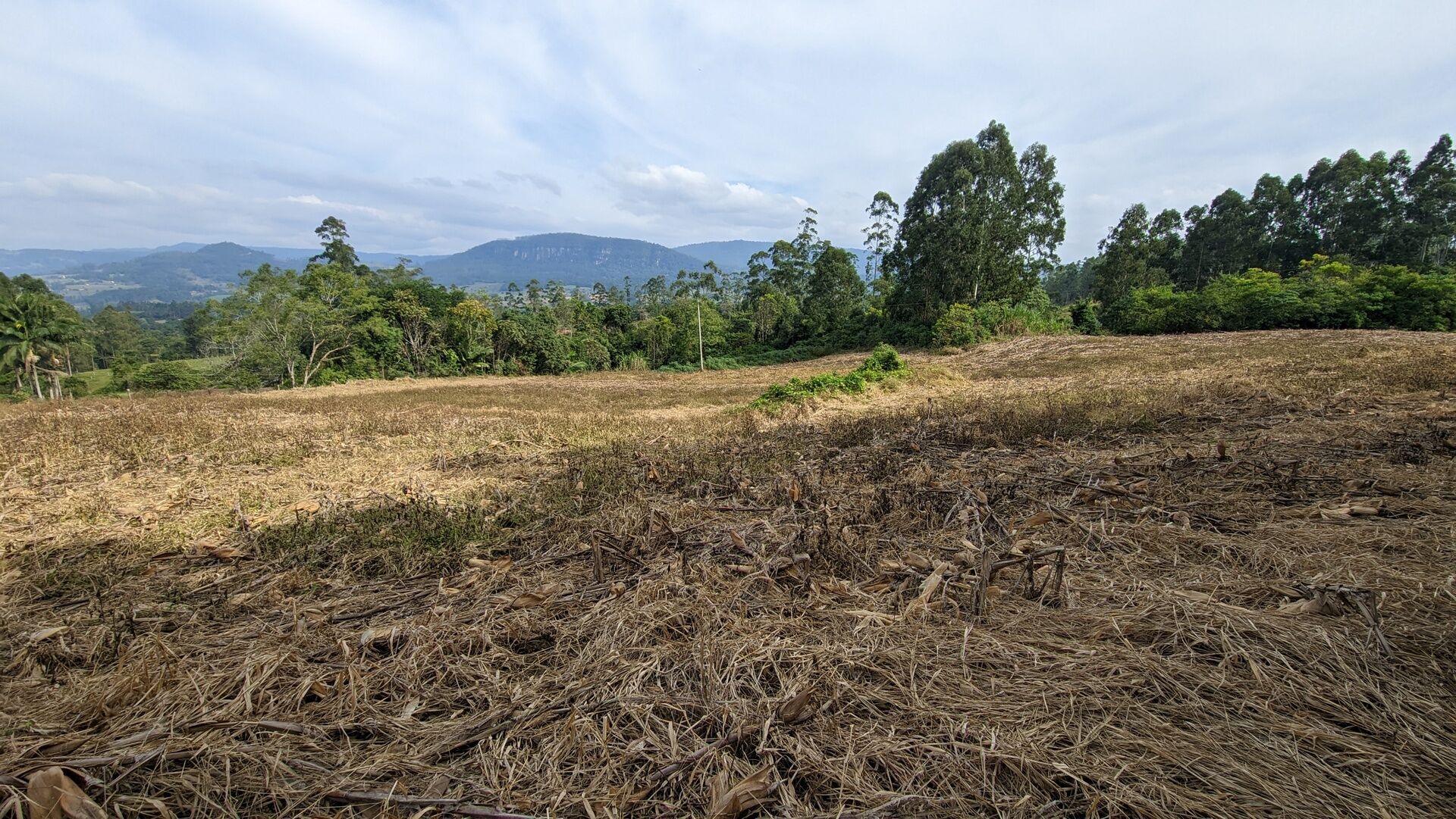 Terreno, 3 hectares - Foto 6