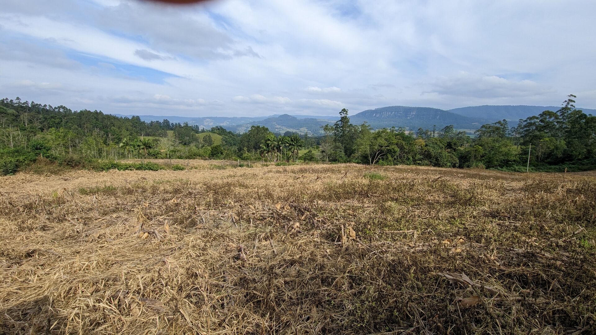 Terreno, 3 hectares - Foto 18