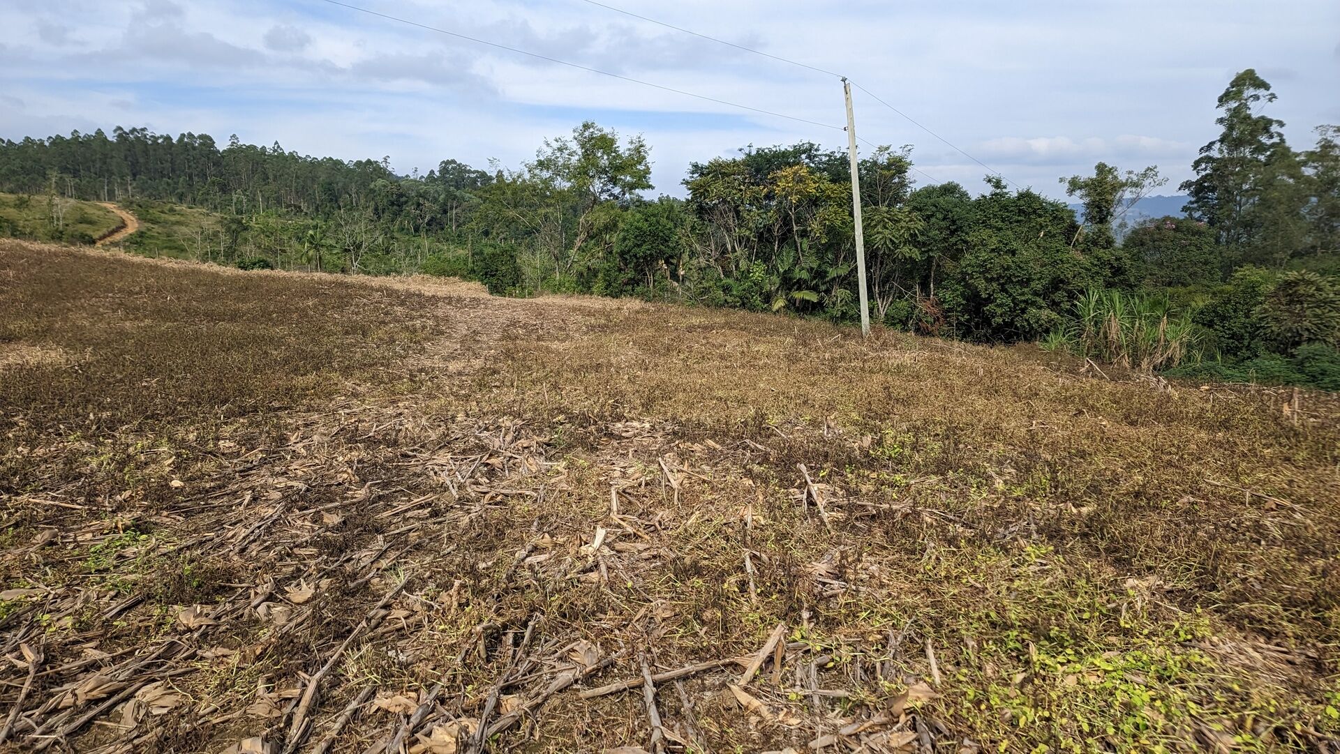 Terreno, 3 hectares - Foto 14