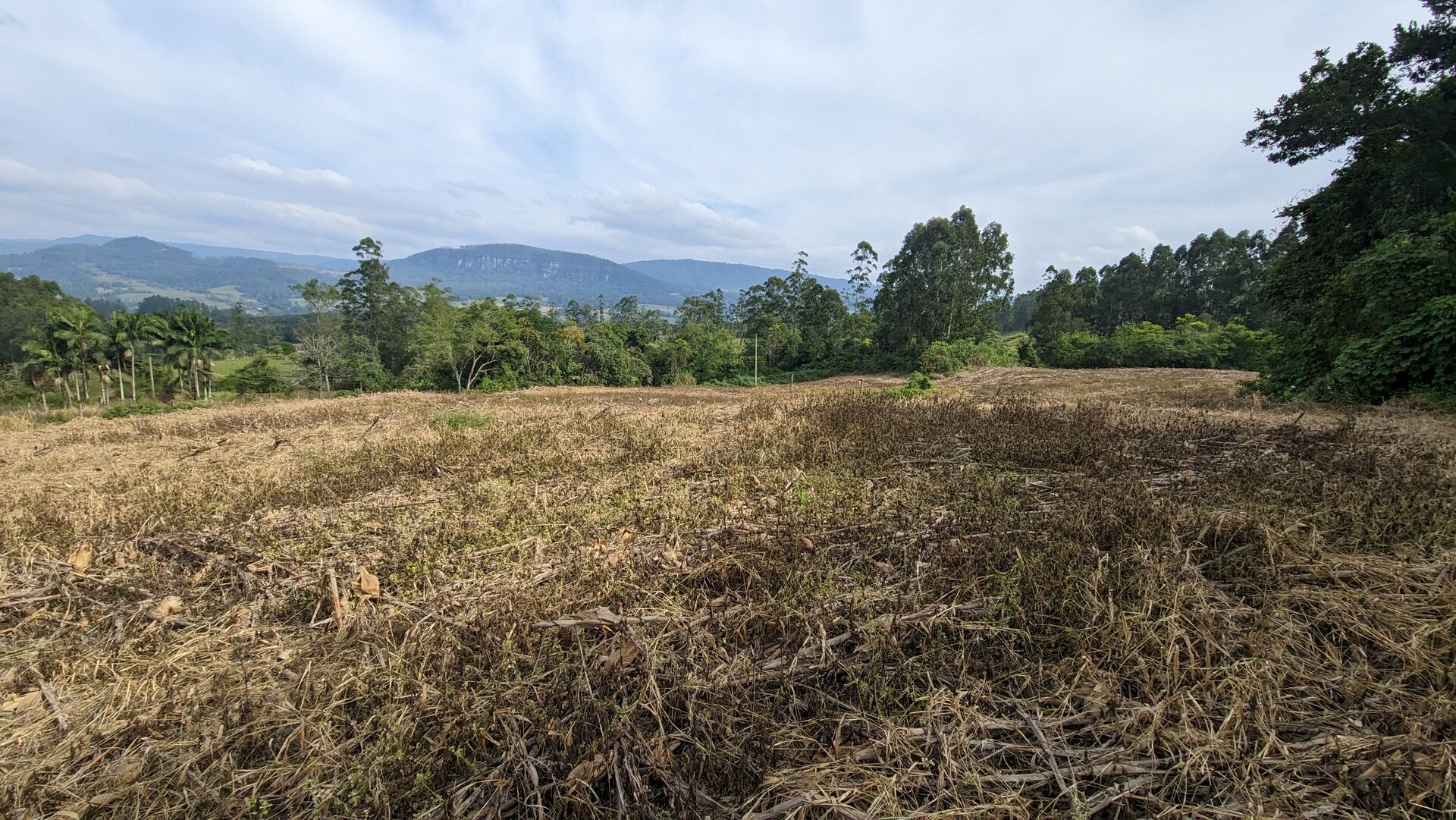 Terreno, 3 hectares - Foto 17