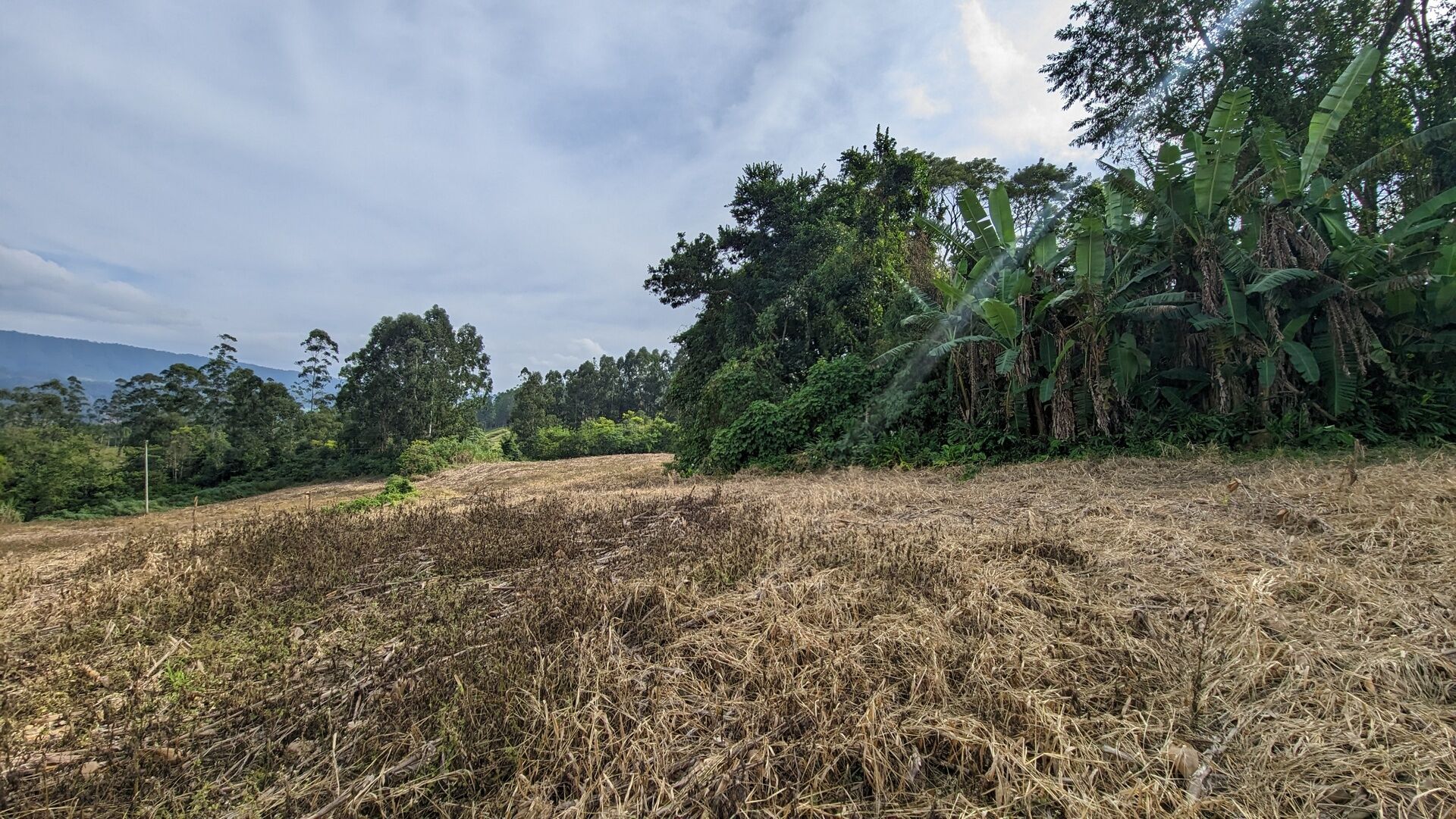 Terreno, 3 hectares - Foto 19