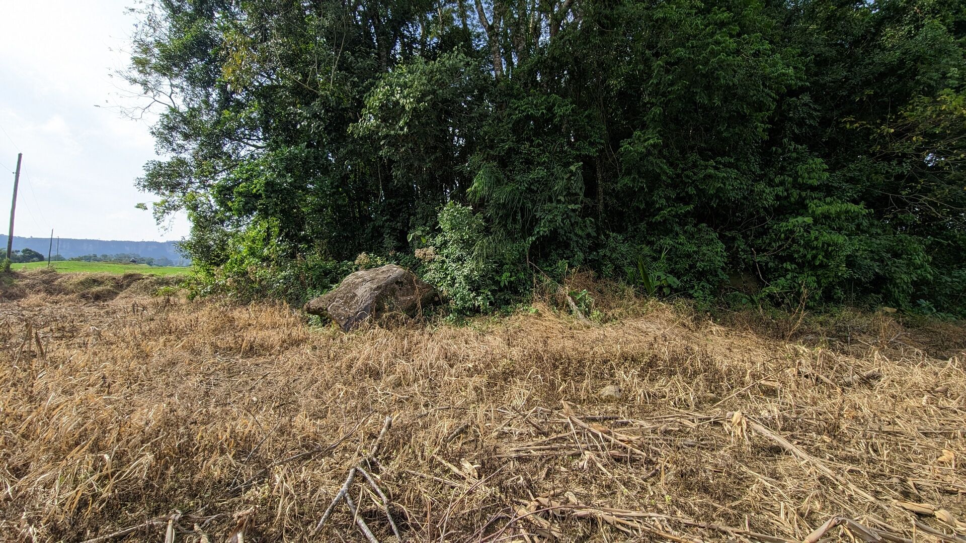 Terreno, 3 hectares - Foto 11