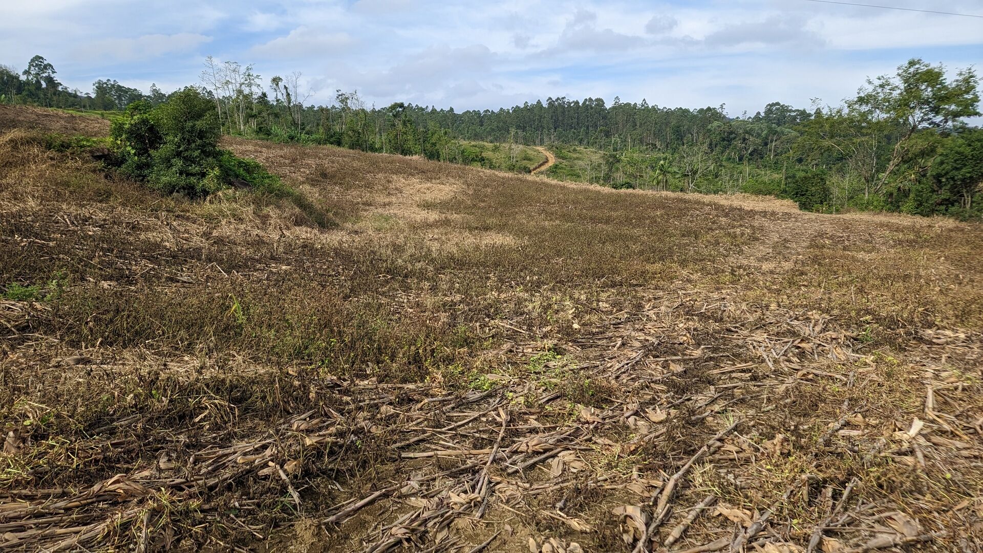 Terreno, 3 hectares - Foto 15