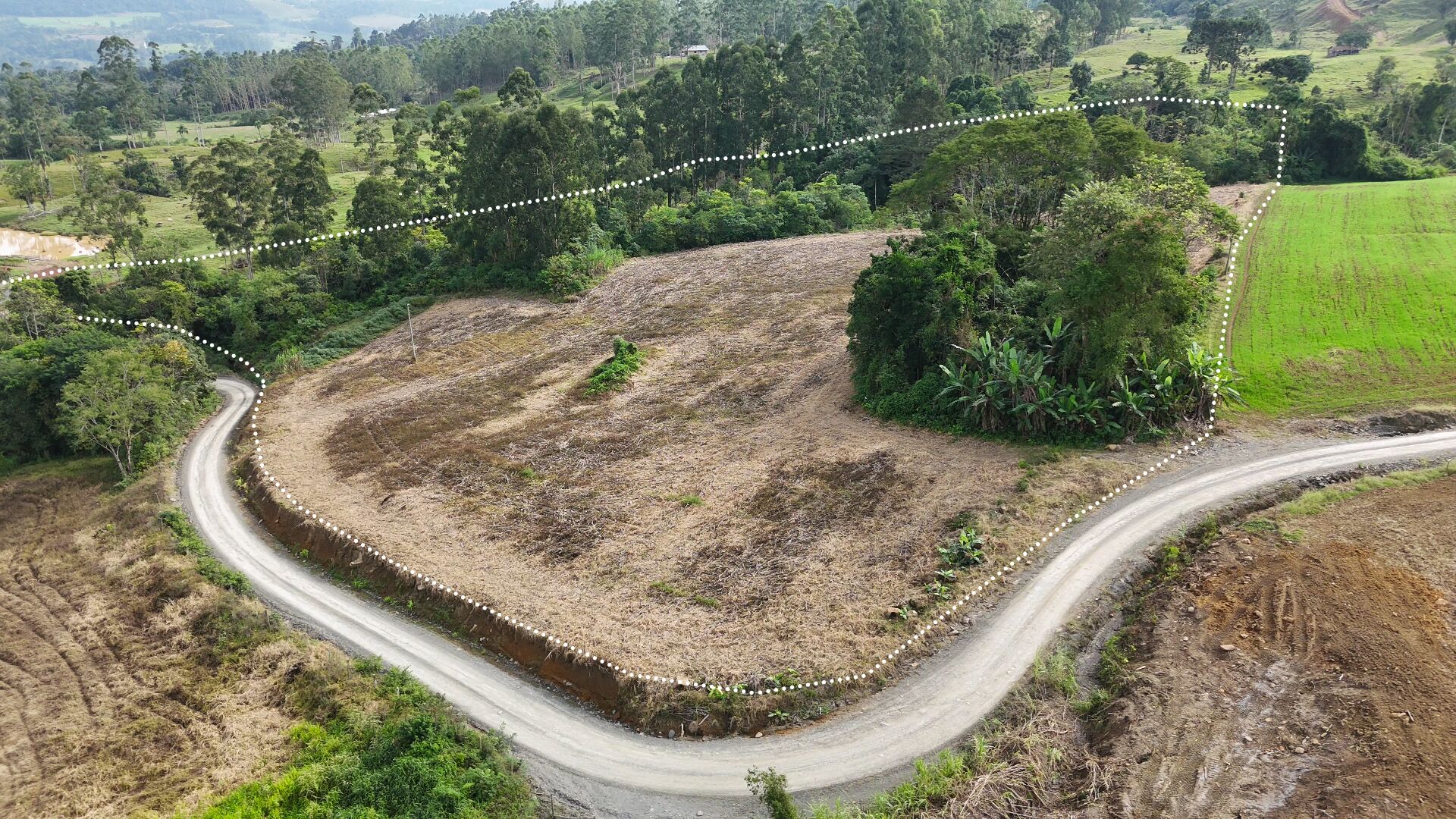 Terreno, 3 hectares - Foto 4