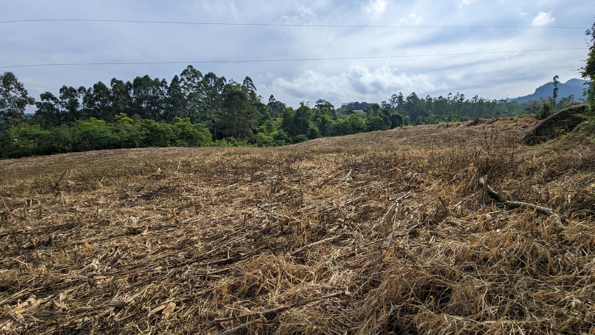 Terreno, 3 hectares - Foto 9