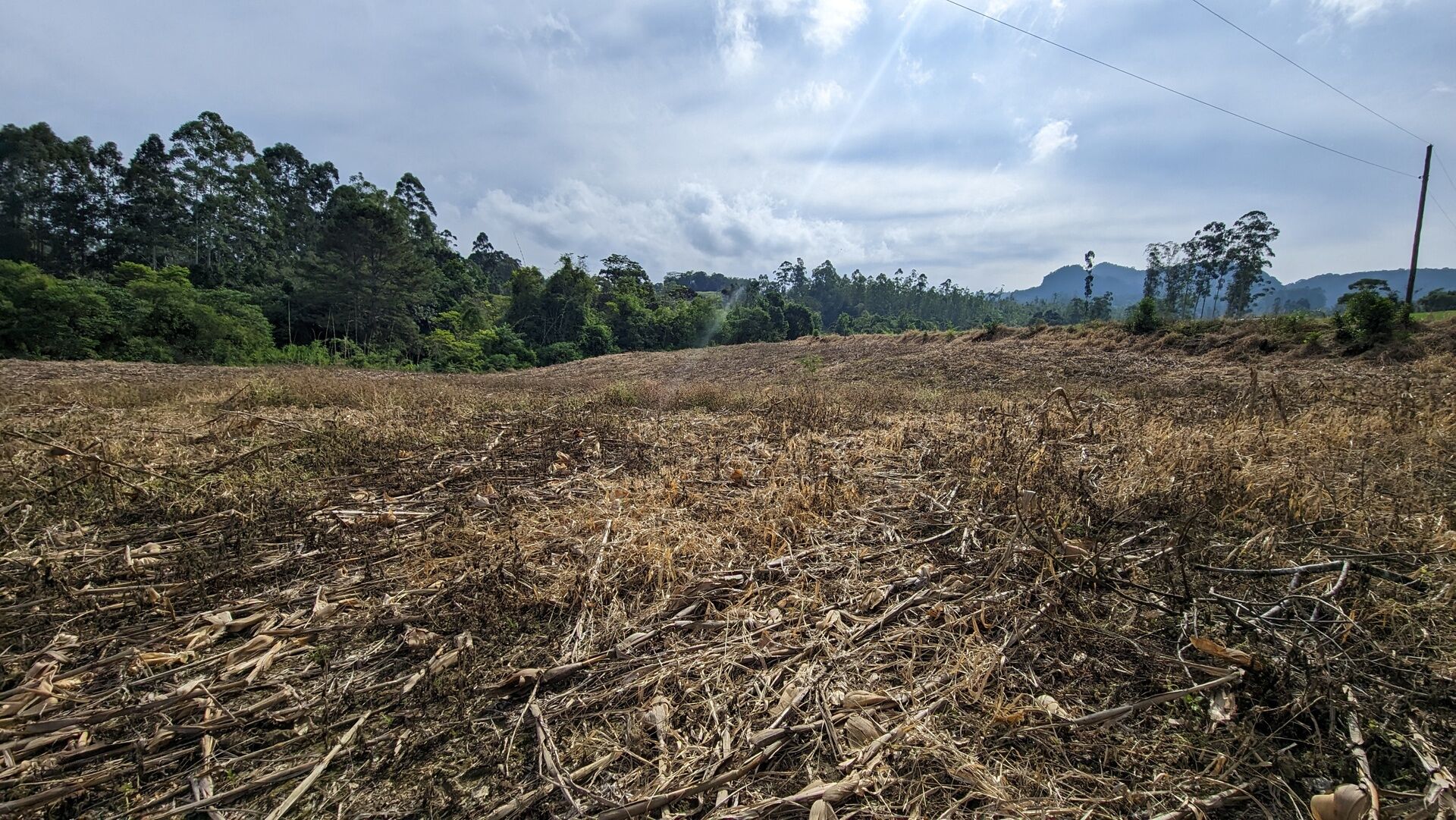 Terreno, 3 hectares - Foto 10