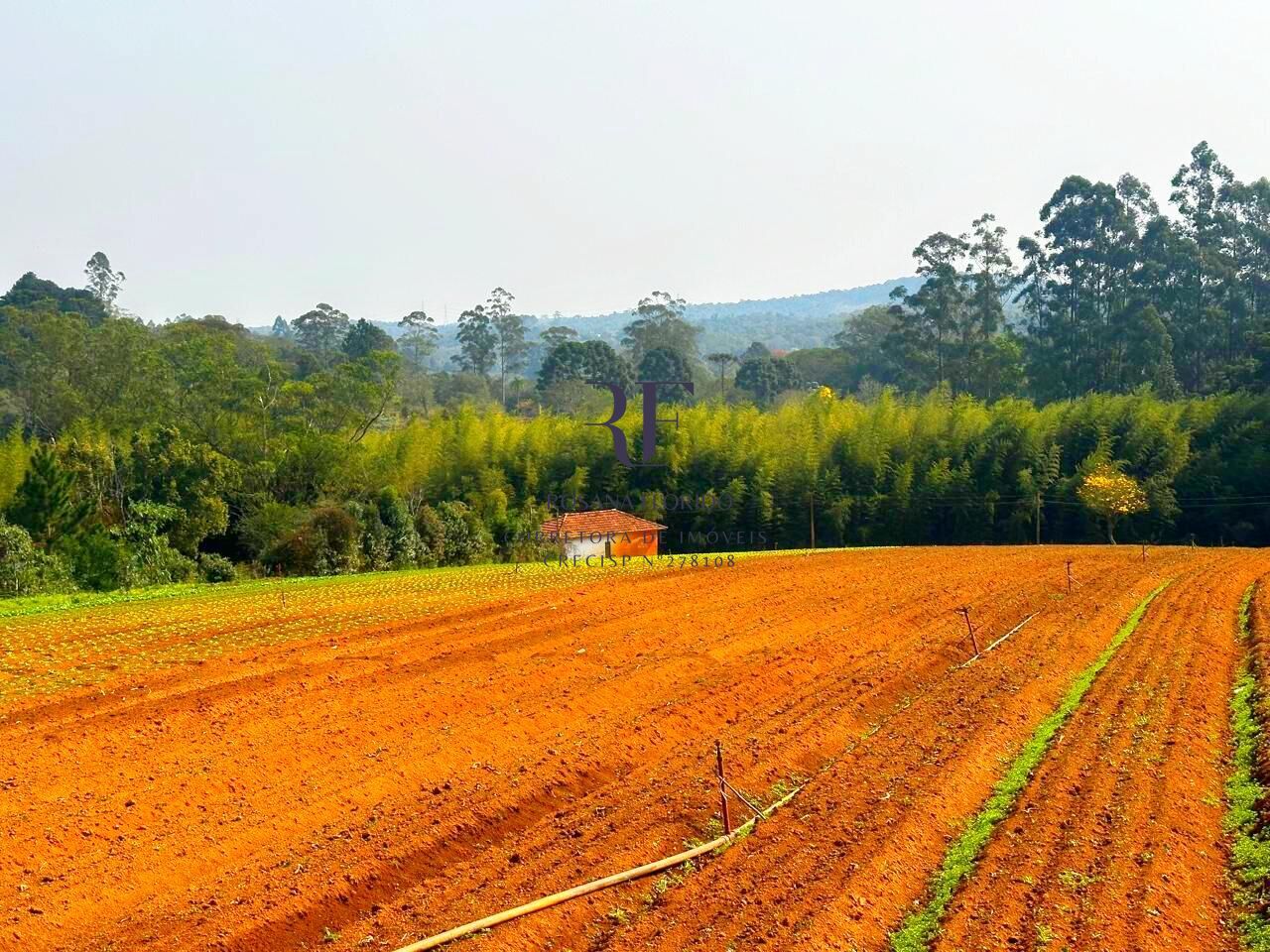 Terreno à venda, 190531m² - Foto 29