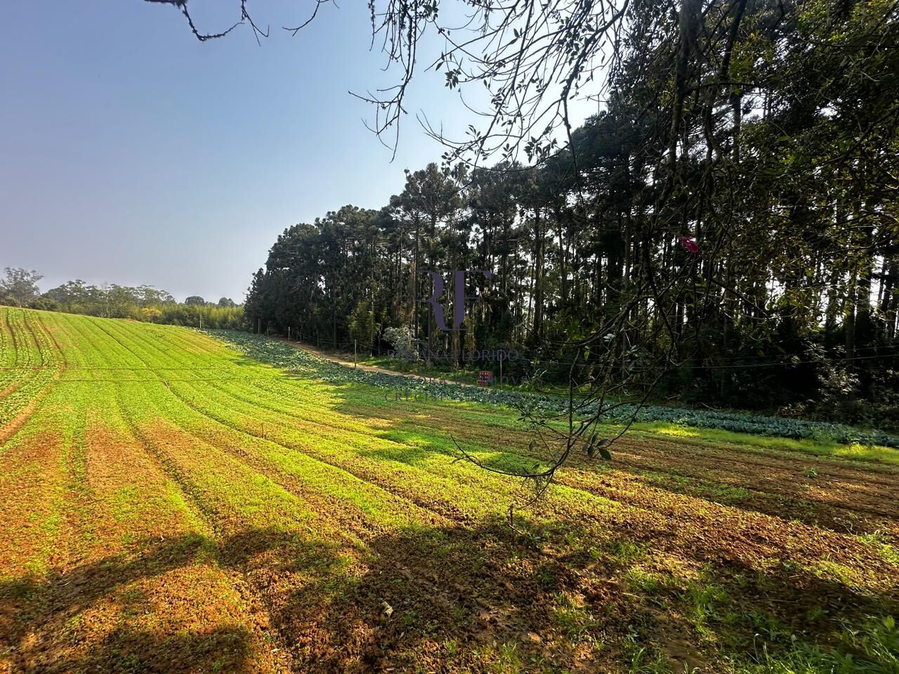 Terreno à venda, 190531m² - Foto 9