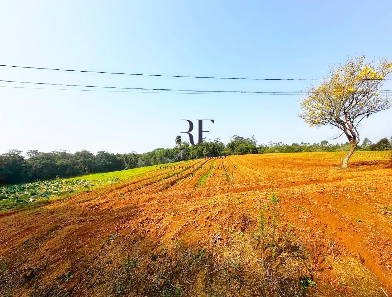 Terreno à venda, 190531m² - Foto 37