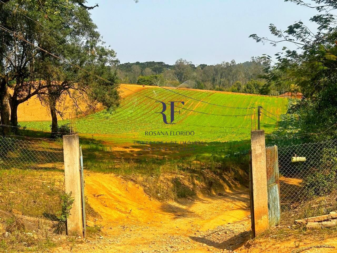 Terreno à venda, 190531m² - Foto 3