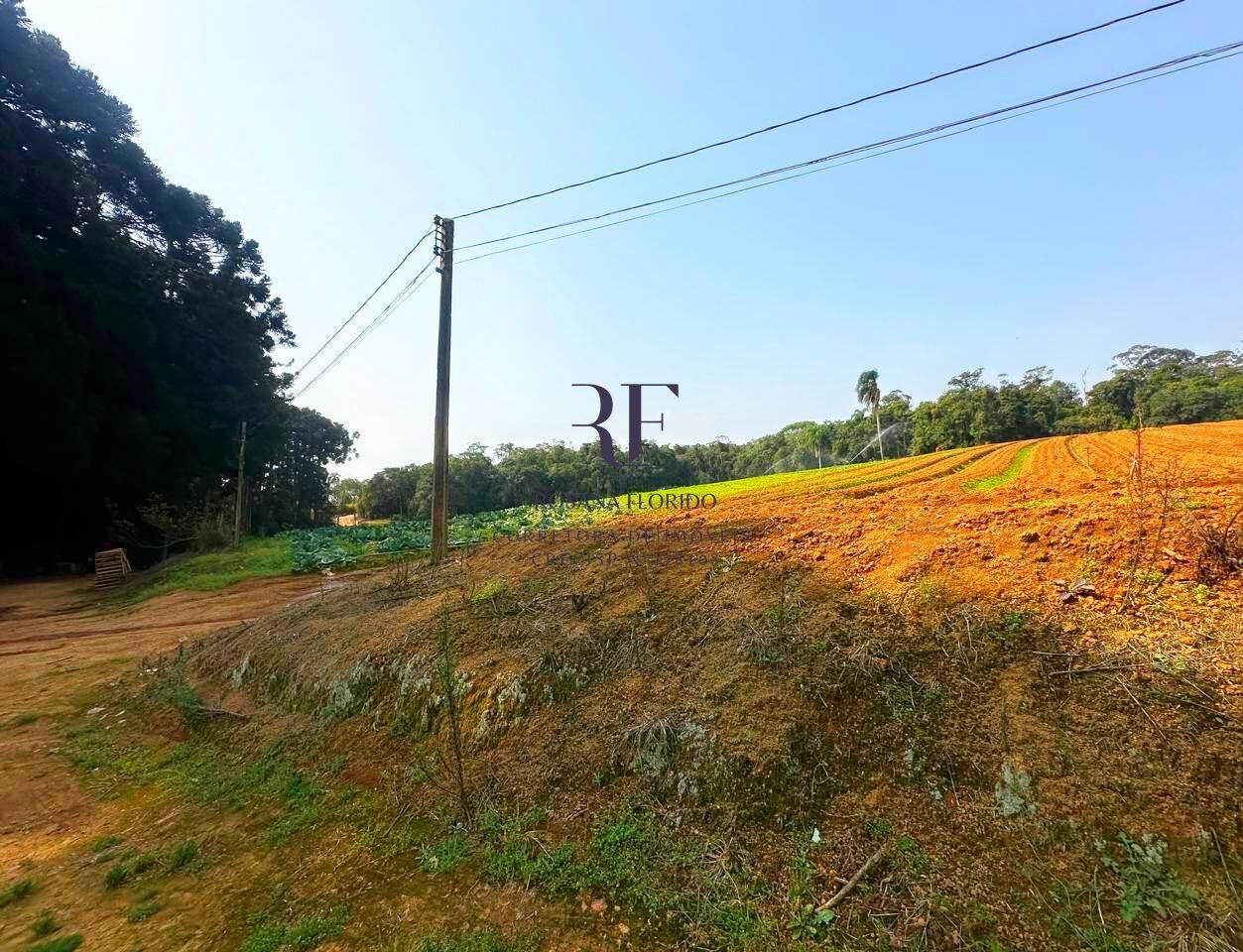 Terreno à venda, 190531m² - Foto 36