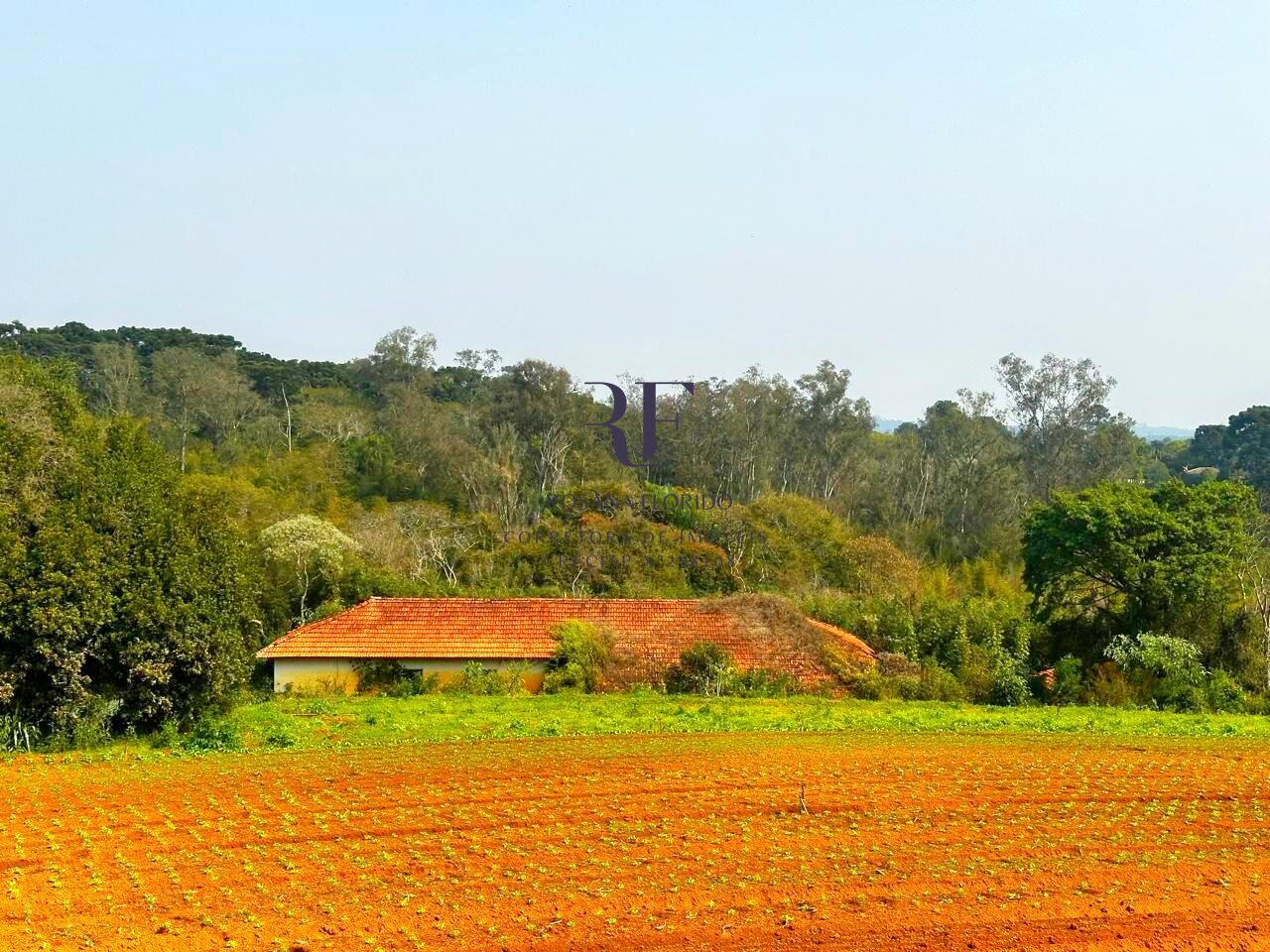 Terreno à venda, 190531m² - Foto 26