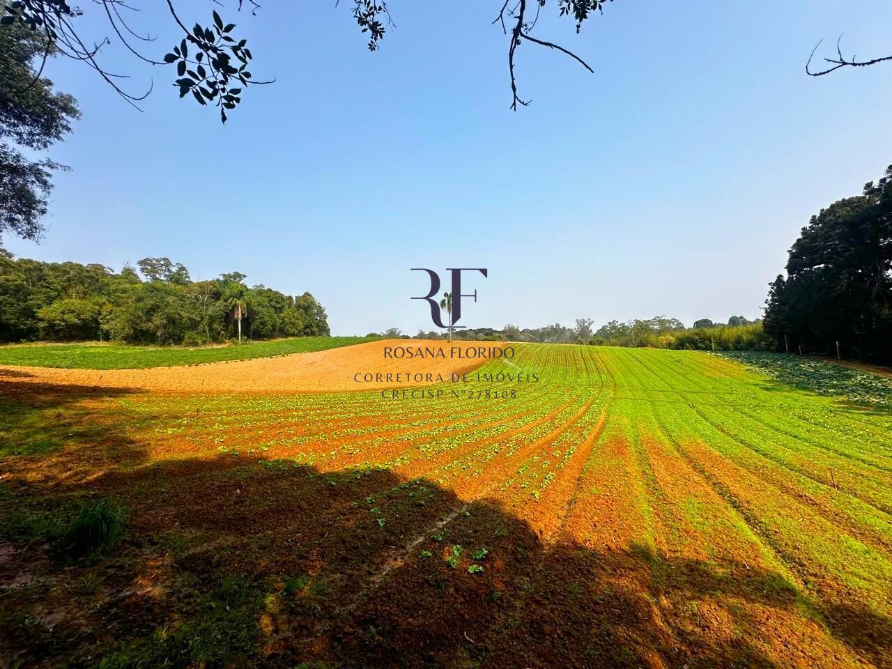 Terreno à venda, 190531m² - Foto 10