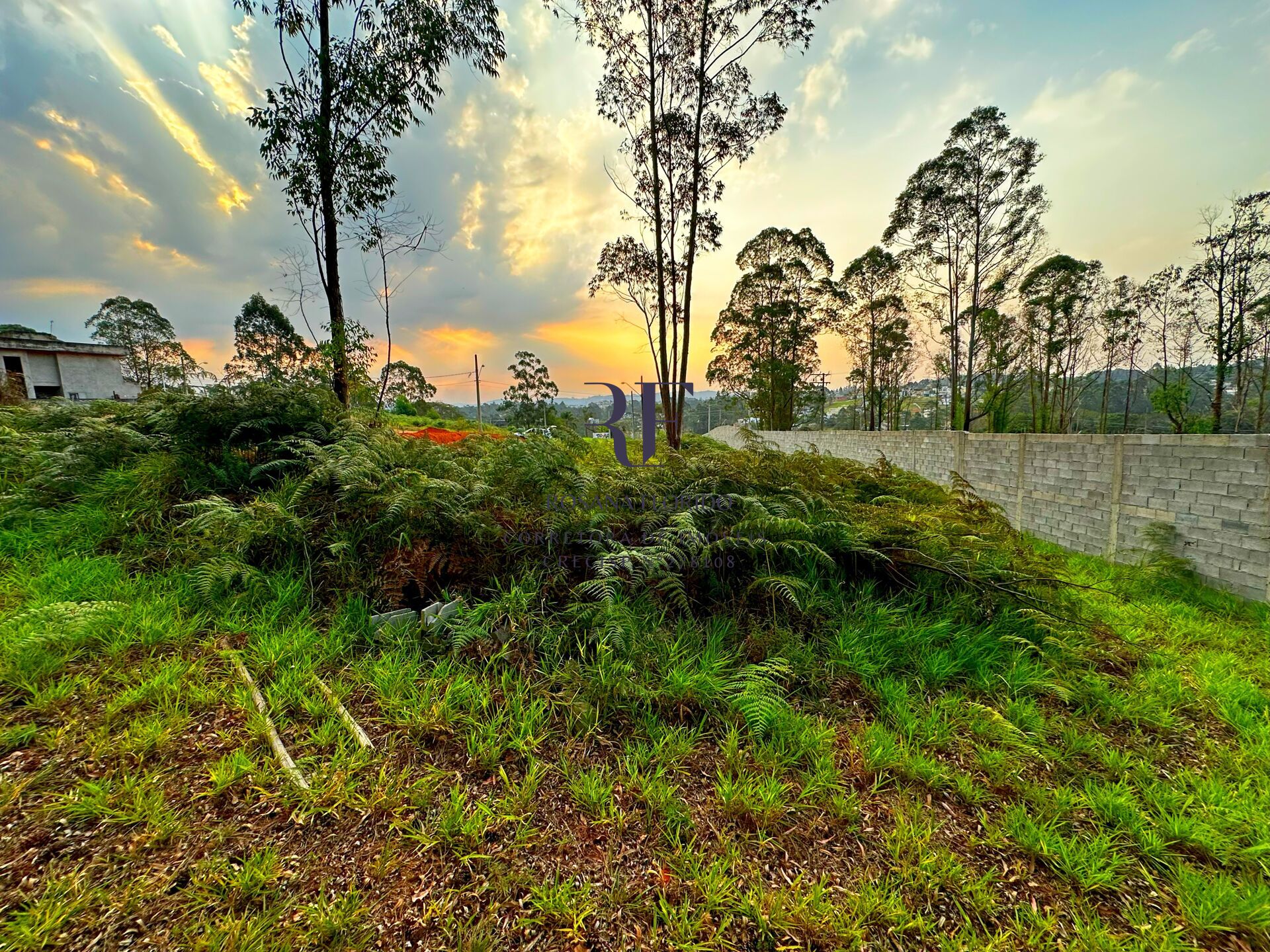 Terreno à venda, 1412m² - Foto 11