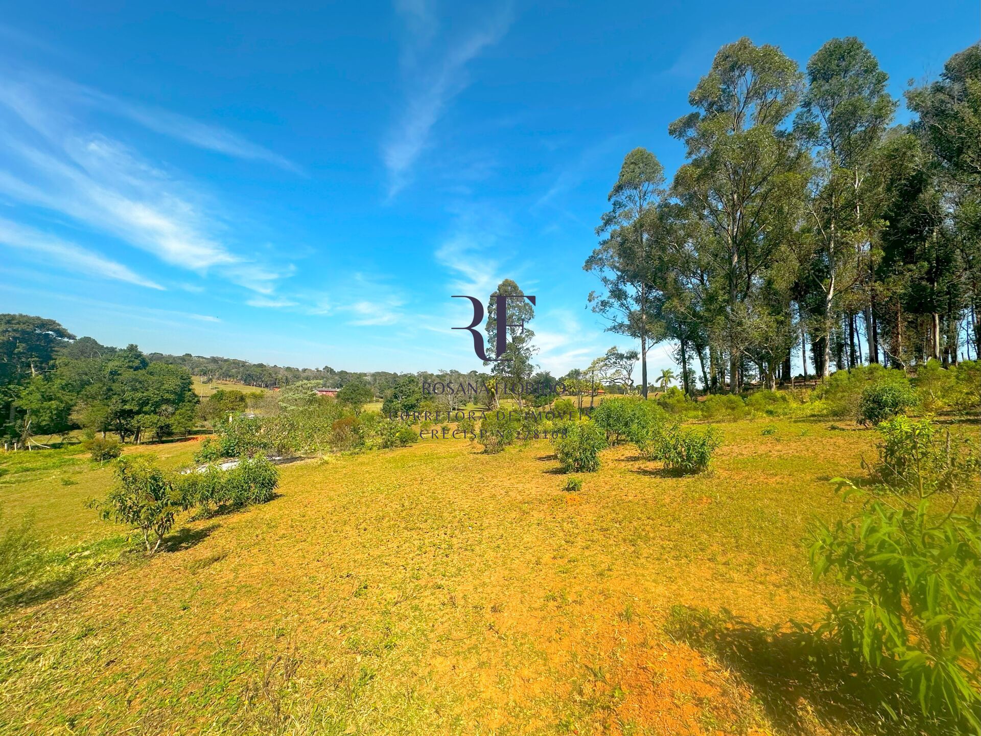 Terreno à venda, 4000m² - Foto 1