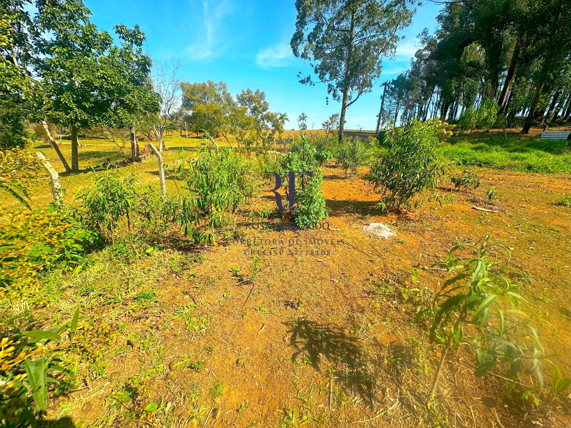 Terreno à venda, 4000m² - Foto 9