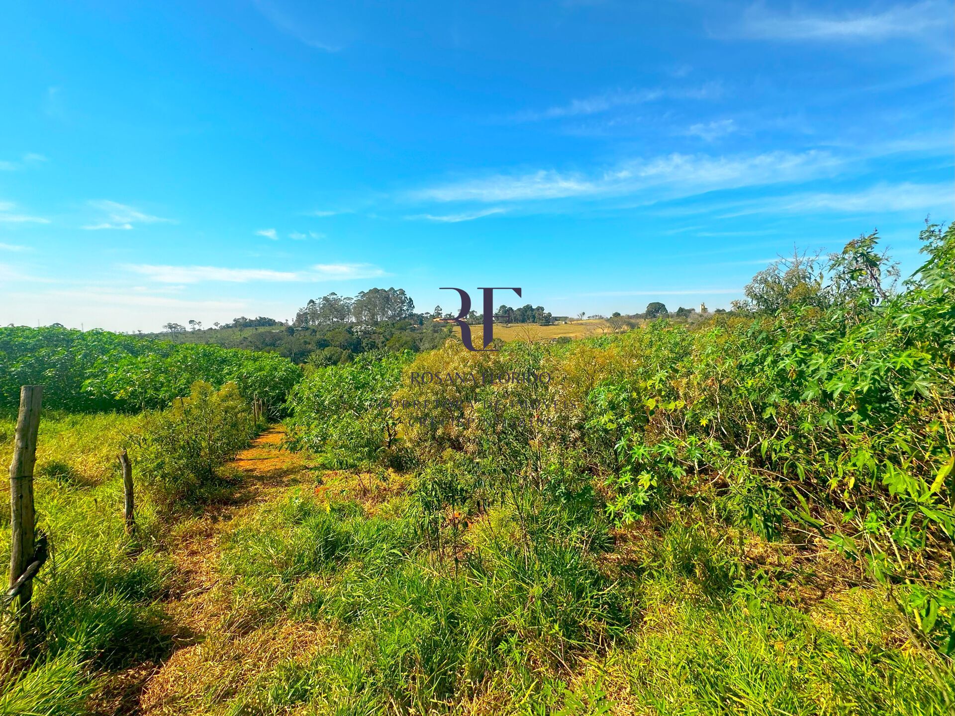 Terreno à venda, 4000m² - Foto 5