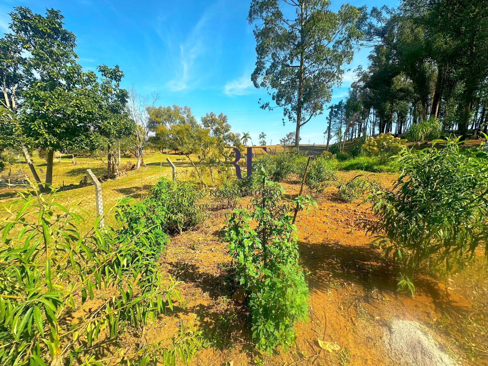 Terreno à venda, 4000m² - Foto 11