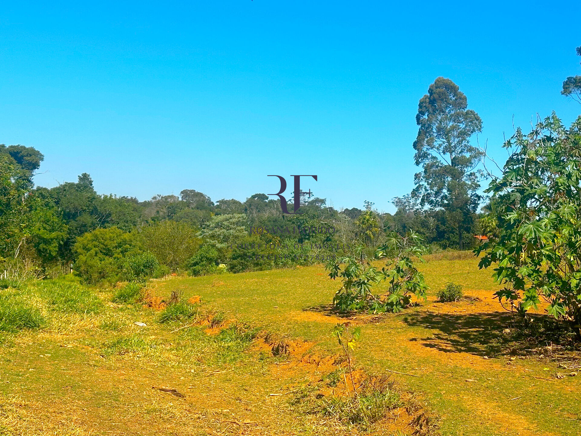 Terreno à venda, 4000m² - Foto 3