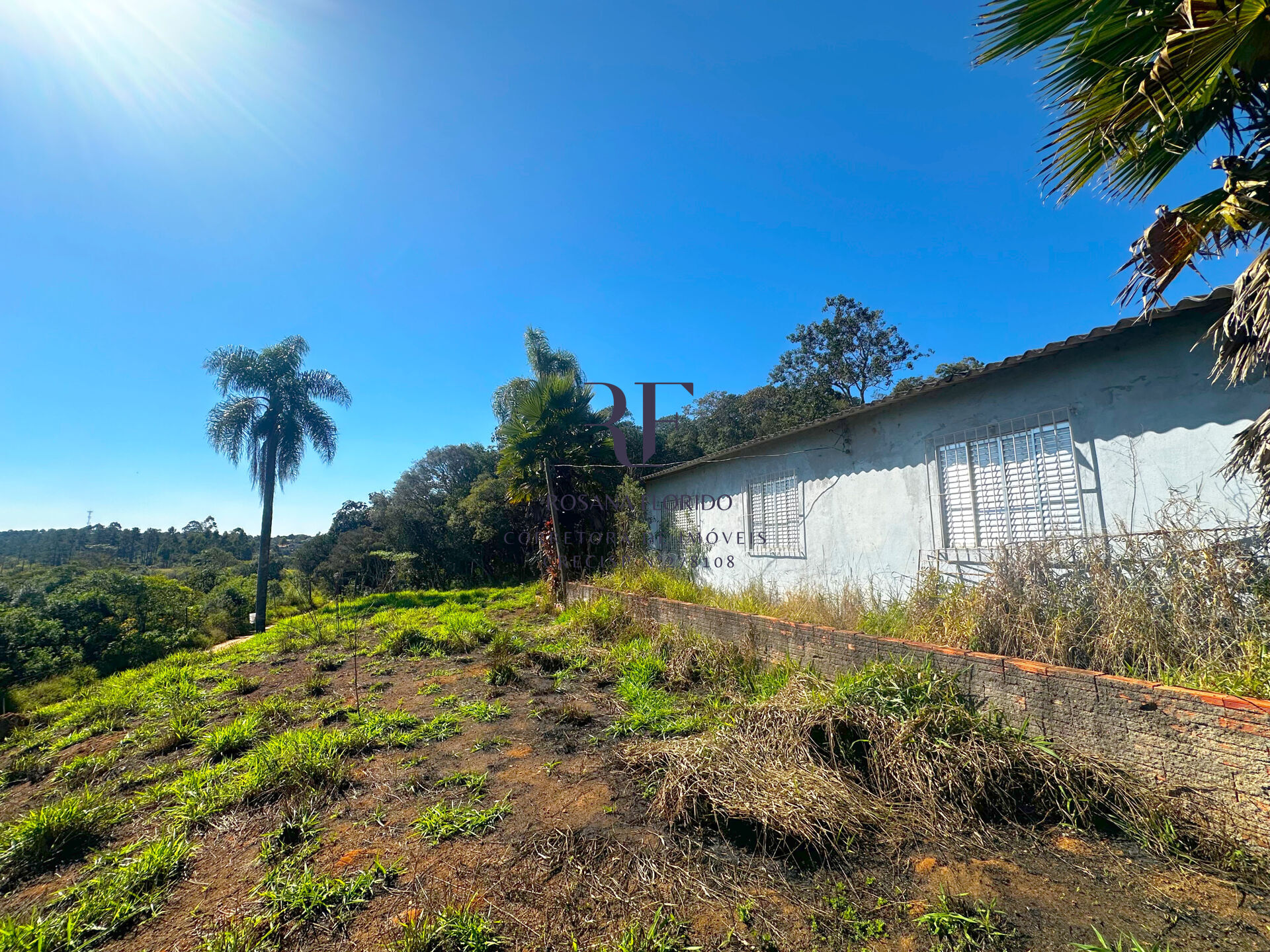 Terreno à venda, 90360m² - Foto 6