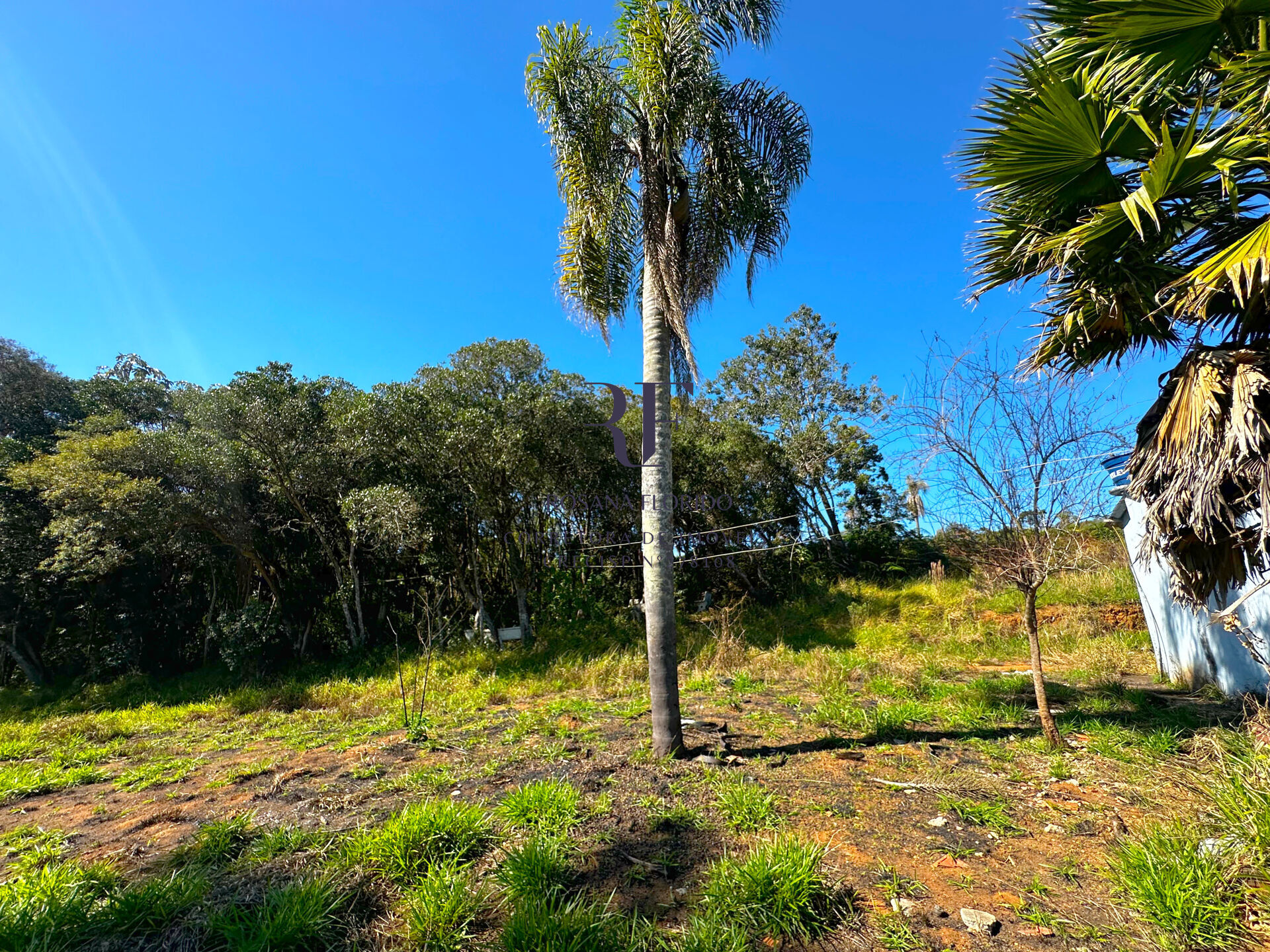 Terreno à venda, 90360m² - Foto 8