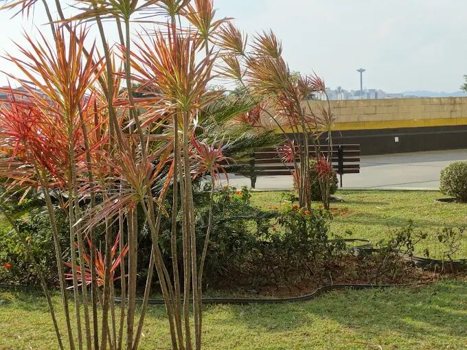 Apartamento, 2 quartos, 62 m² - Foto 18