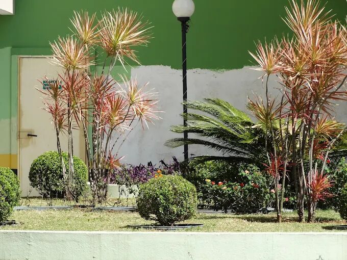 Apartamento, 2 quartos, 62 m² - Foto 14