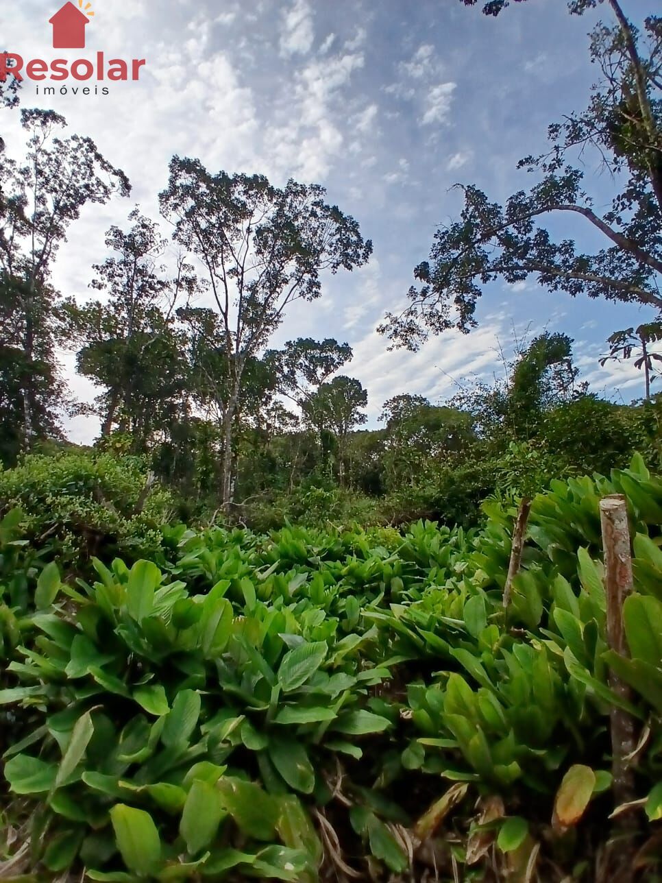 Chácara, 1175 m² - Foto 3