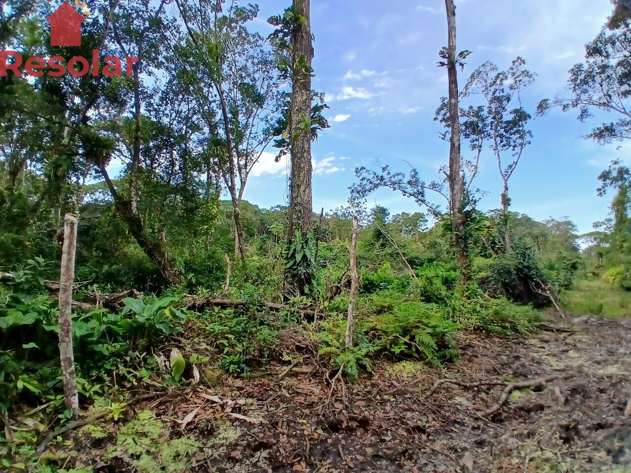 Chácara, 1175 m² - Foto 2