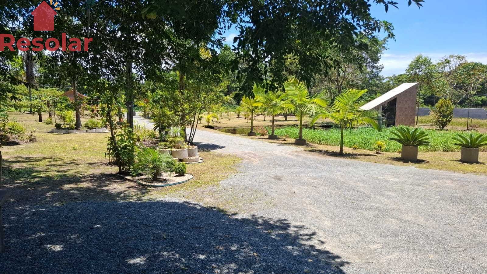 Sítio, 2 quartos, 4200 m² - Foto 6