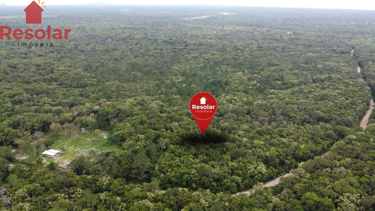 Terreno, 11 hectares - Foto 4