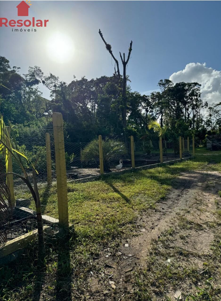 Terreno, 2500 m² - Foto 6