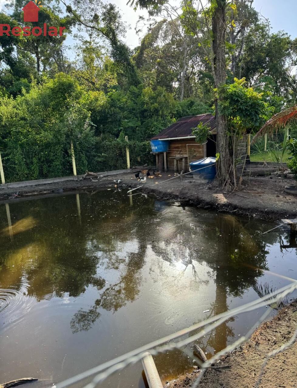 Terreno, 2500 m² - Foto 4