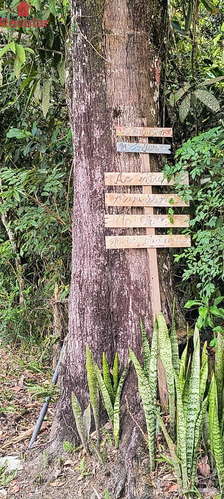 Terreno, 3200 m² - Foto 5