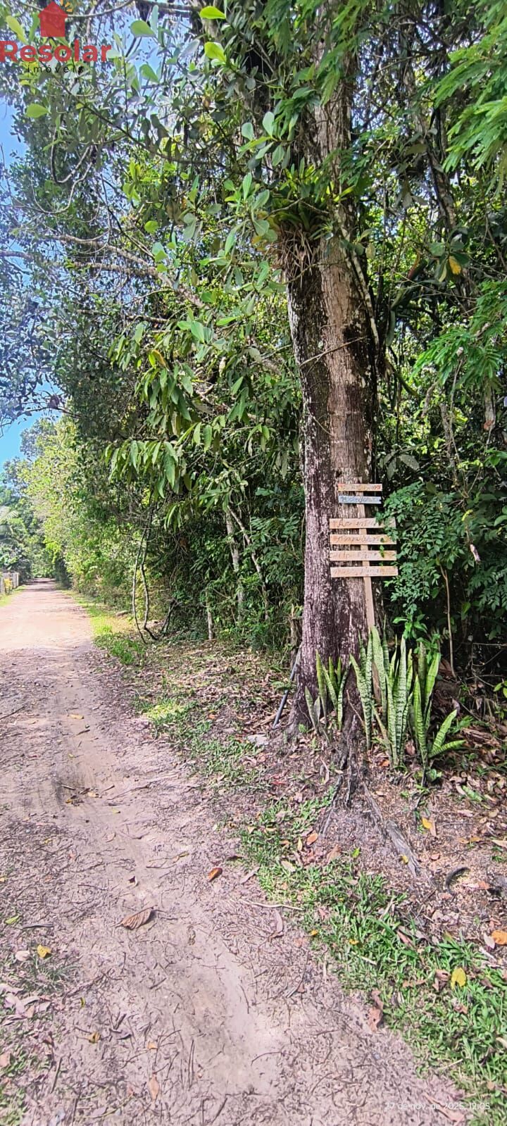 Terreno, 3200 m² - Foto 9