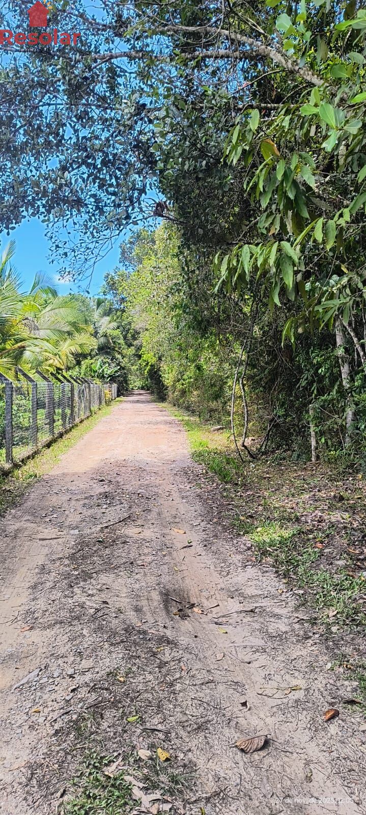 Terreno, 3200 m² - Foto 4