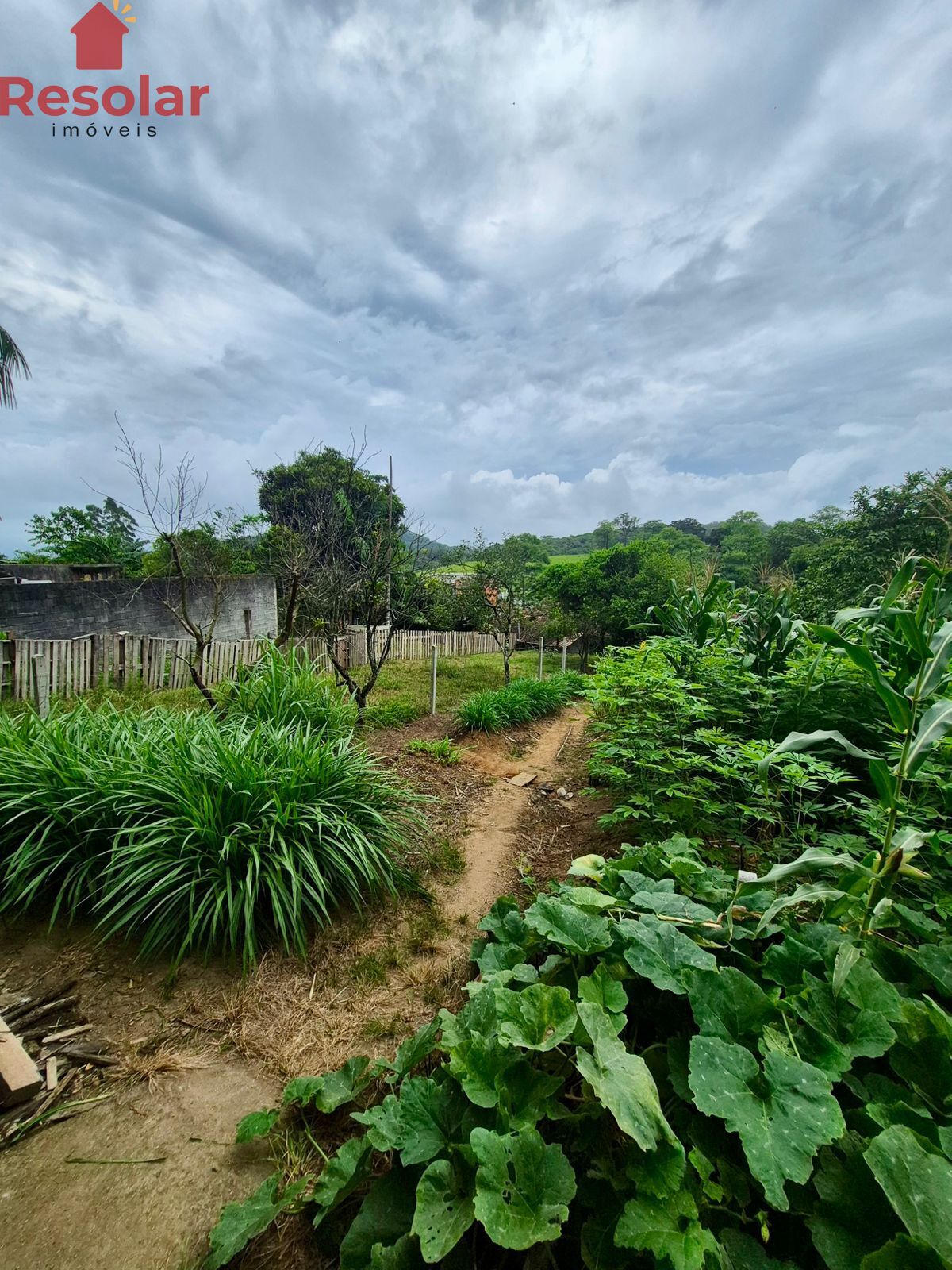 Sítio, 5 quartos, 350 m² - Foto 31