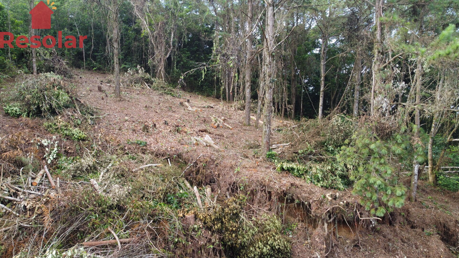 Terreno à venda, 360m² - Foto 4