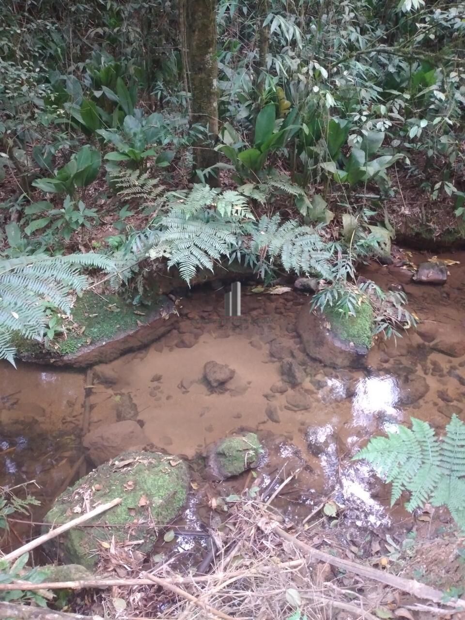 Terreno, 3 hectares - Foto 2