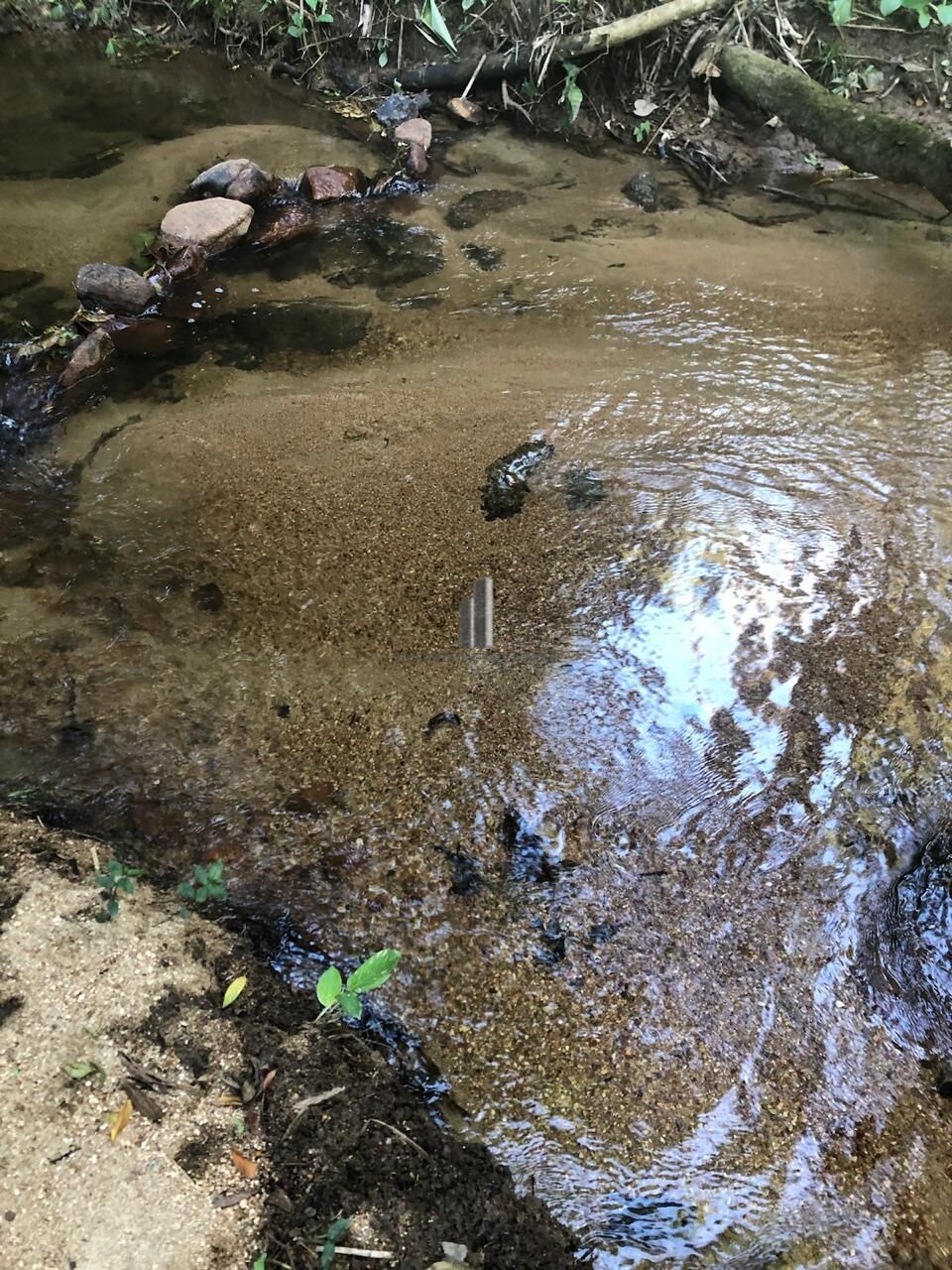 Terreno, 3 hectares - Foto 10