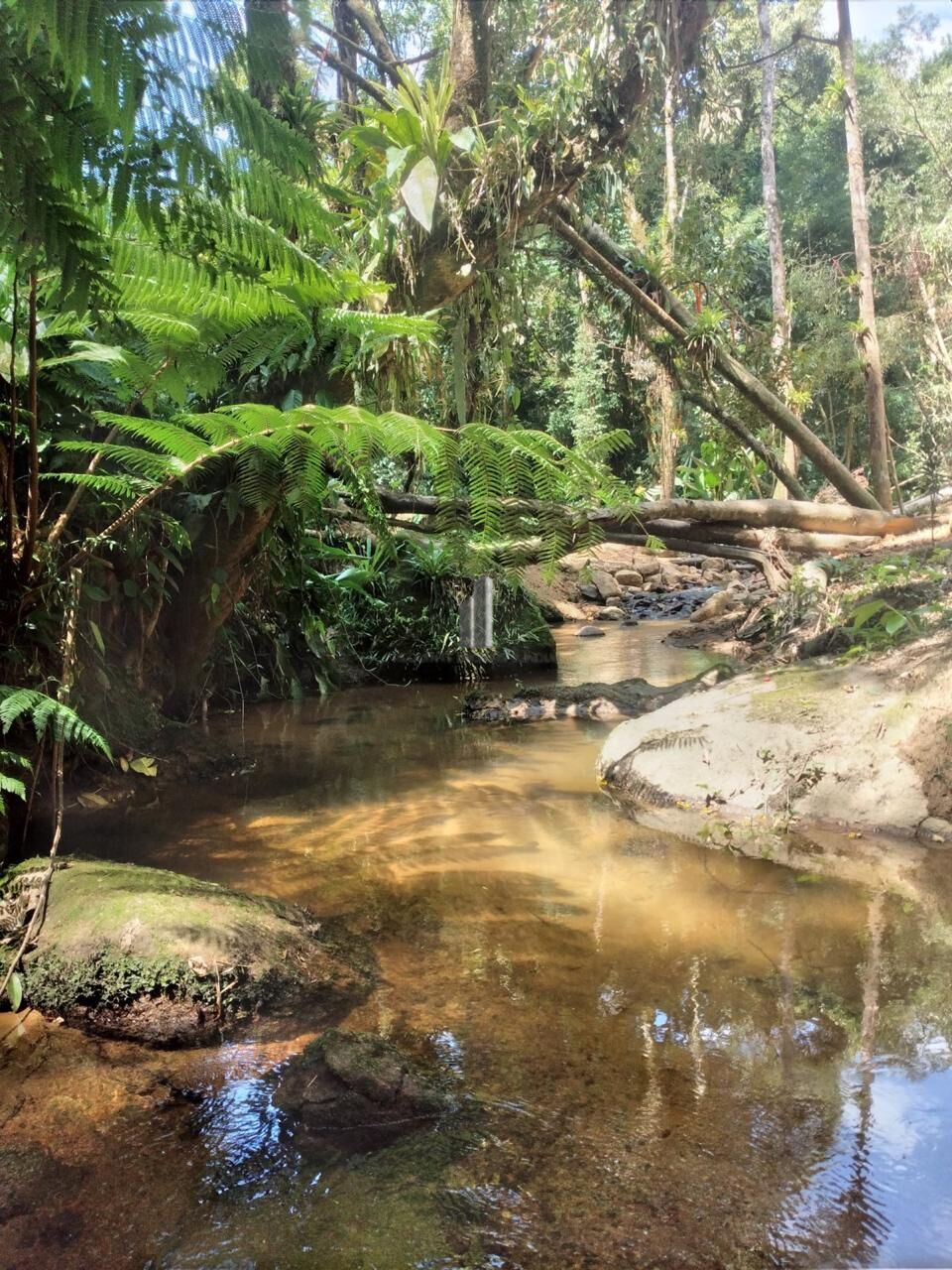 Terreno, 3 hectares - Foto 8