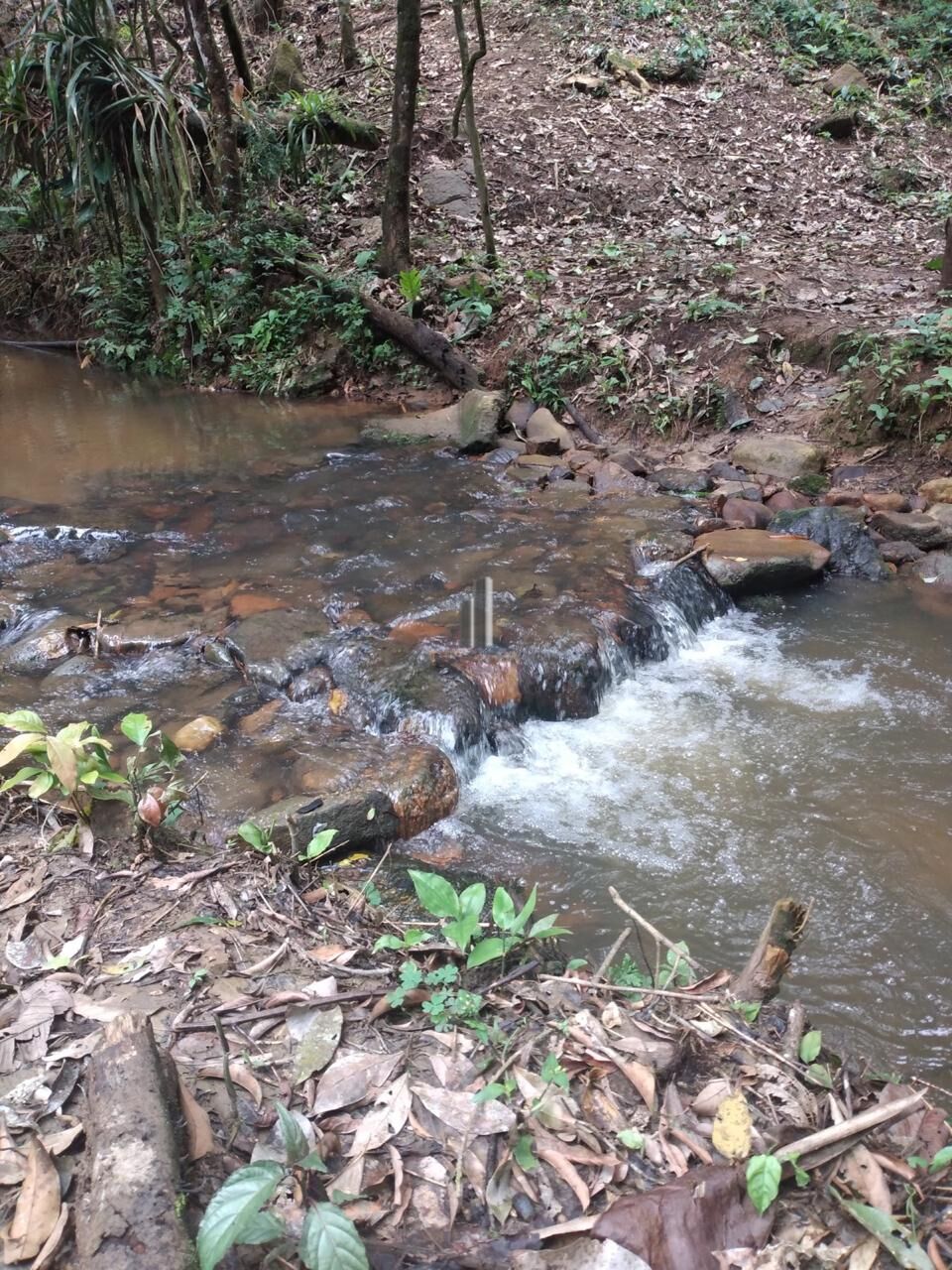 Terreno, 3 hectares - Foto 7