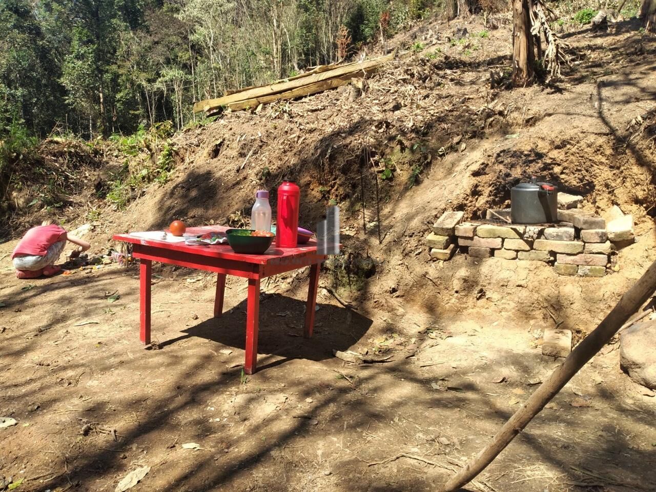 Terreno, 3 hectares - Foto 11