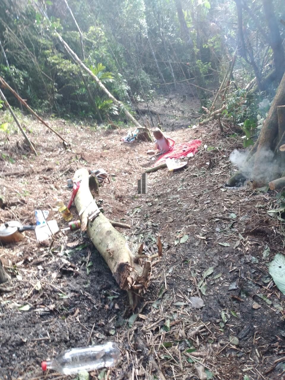 Terreno, 3 hectares - Foto 4