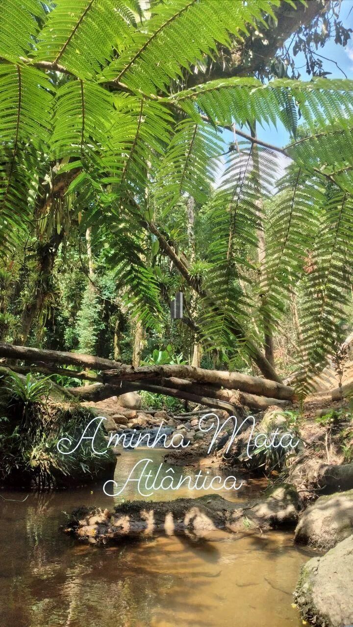 Terreno, 3 hectares - Foto 9