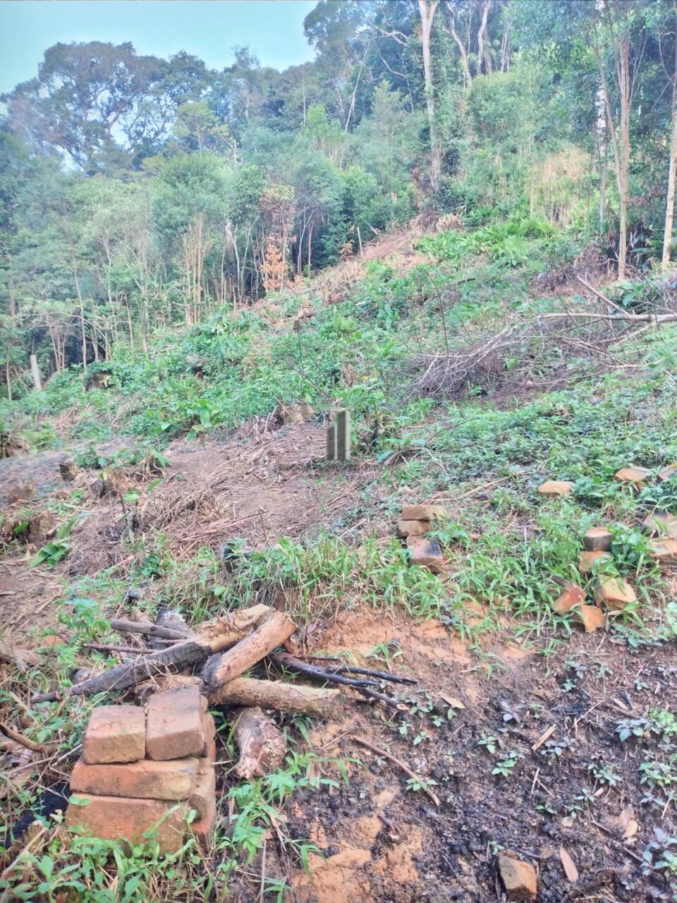 Terreno, 3 hectares - Foto 5