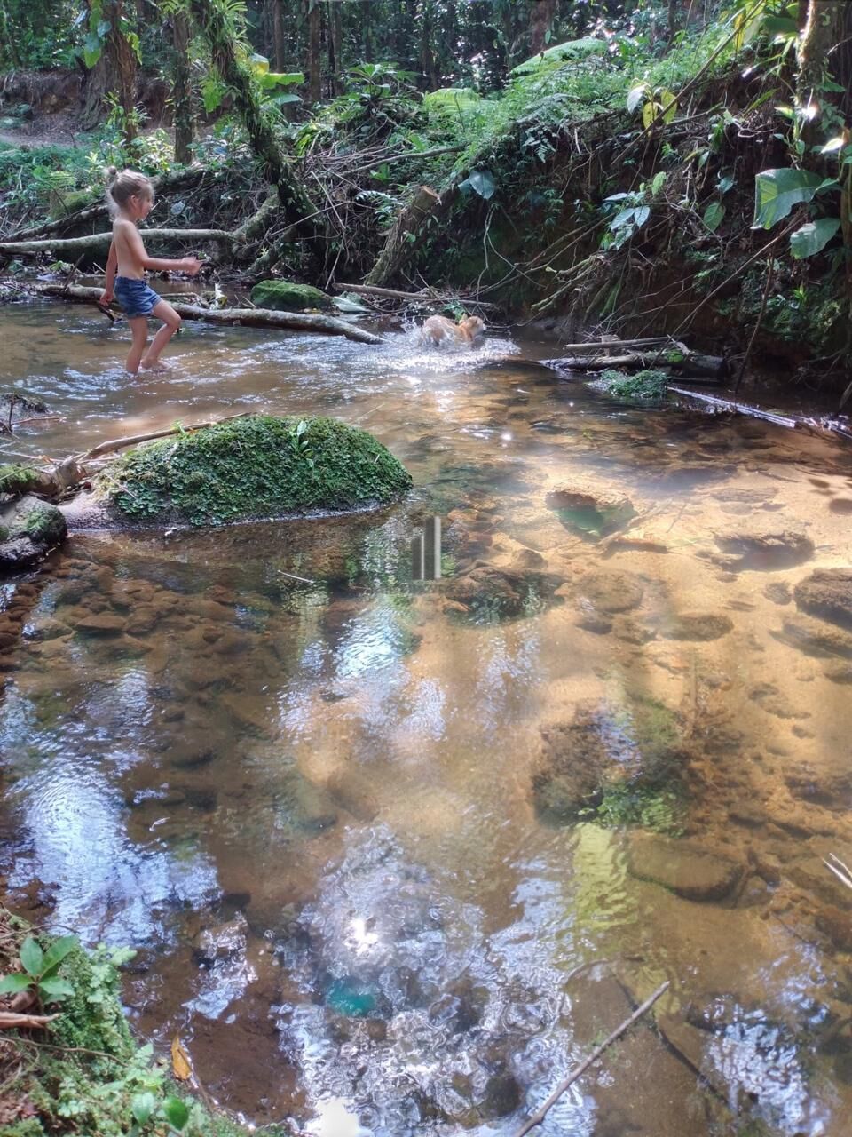 Terreno, 3 hectares - Foto 6