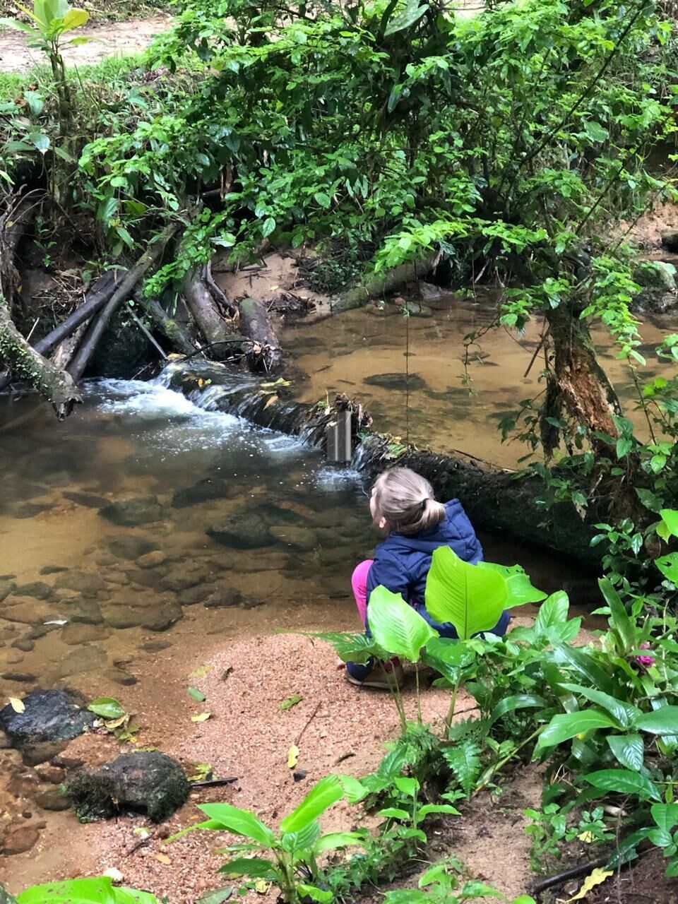 Terreno, 3 hectares - Foto 12