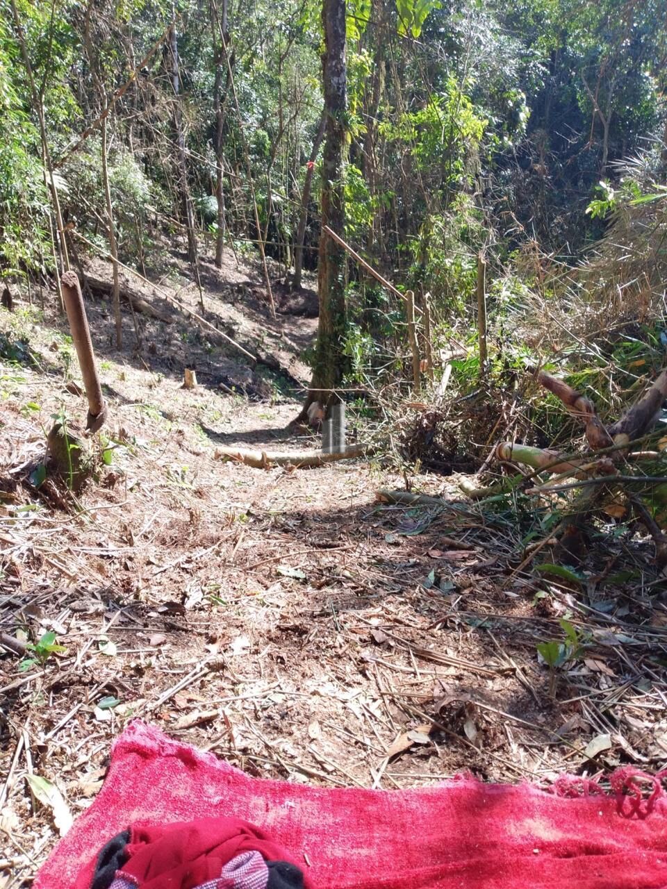 Terreno, 3 hectares - Foto 3