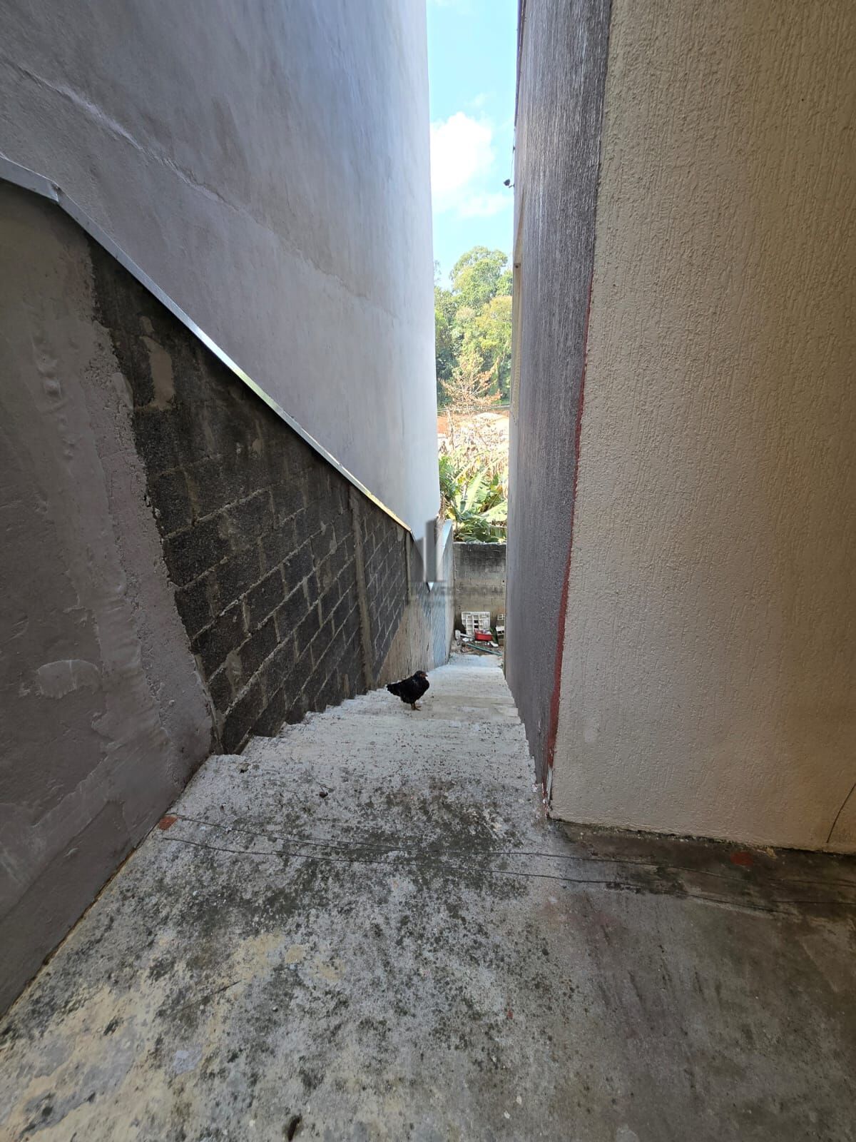 Casa, 3 quartos, 214 m² - Foto 16